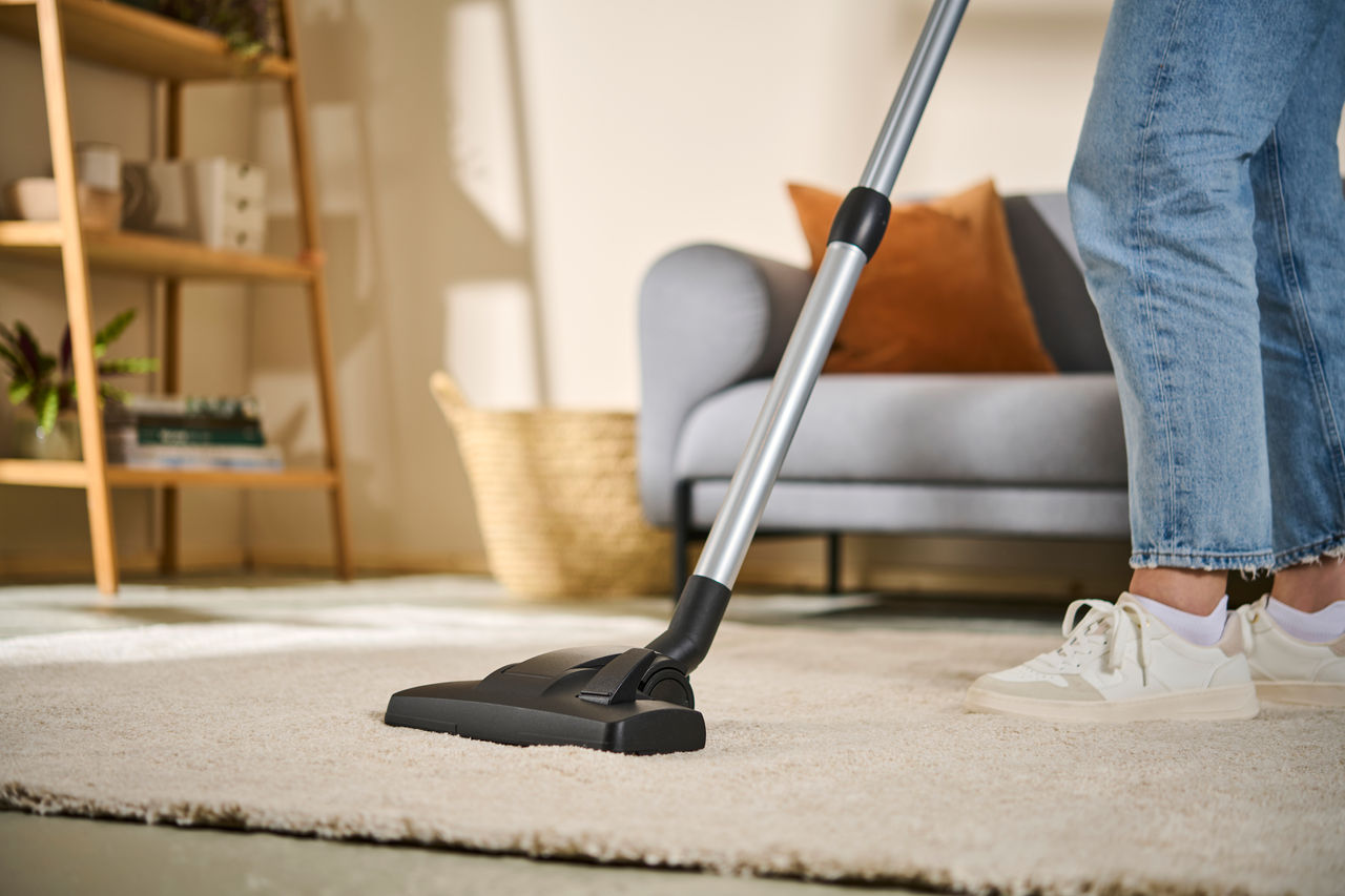 Person saugt einen Teppich im Wohnzimmer mit der Swirl Teppich- und Hartböden Umschaltdüse